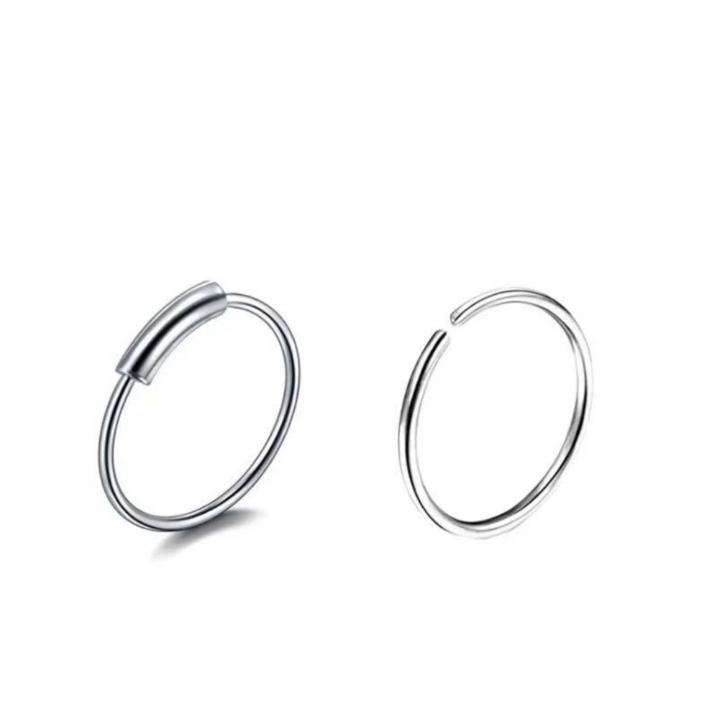 2 Nose Rings